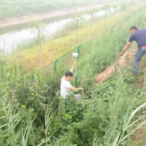 業務范圍